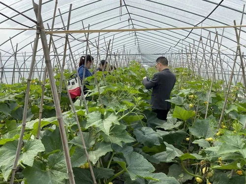科技賦能，一碼溯源 食用農(nóng)產(chǎn)品的電子身份證時(shí)代